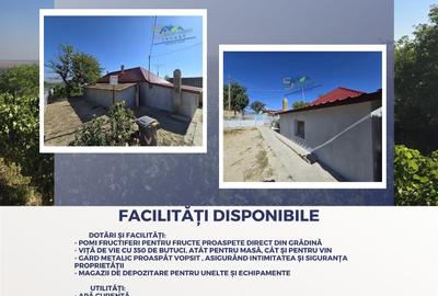 Casă de Vis în Satul Rasova, Constanța - 2