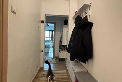 Apartament cu 3 camere decomandat, mobilat în Pantelimon - 5