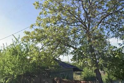 Teren de 1174 mp, în Troianul - 1