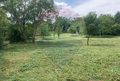 Casă cu 2 camere cu Teren 2877 Mp în Bogda - 3