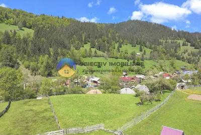 Casă cu 3 camere cu Teren 3302 Mp în Telec - 11