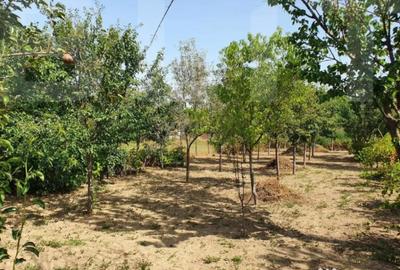 Casă cu 4 camere cu Teren 1200 Mp în Central - 2