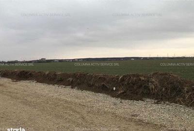 Teren de 4600 mp, în Balotești - 2