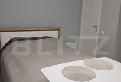 Apartament 1 camera la casa, parcare, 36 mp, gradina, Pet Fr - 8