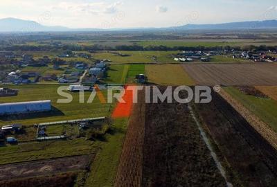 Teren de 3000 mp, în Bod - 9