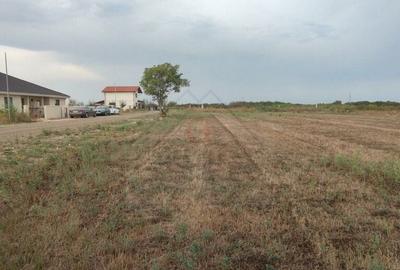 Cartier nou de case locuite. Acces pe drum iluminat. COMISION ZERO! - 1