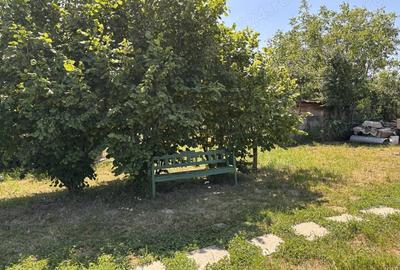 Teren în Viile Satu Mare - 3