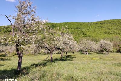 Teren de 680 mp, în Budeasa - 8