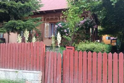 Teren 4137mp si Casa - Targu Ocna - 4