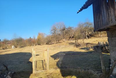 De vanzare casa taranesca cu 3 camere si teren - 5