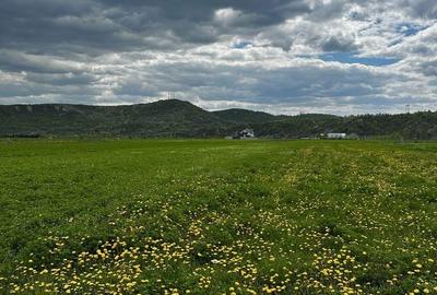 Teren de 6000 mp, în Oituz - 3