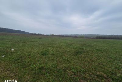 Teren de 10070 mp, în Mitocu Dragomirnei - 5