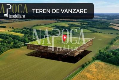 Teren agricol extravilan de 1500 mp, în Iris