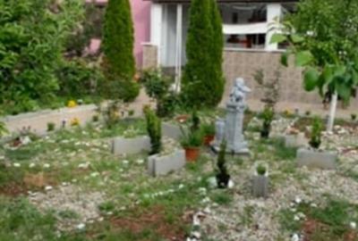 Vila de inchiriat | Pasarea Branesti IF | p+1 | 750mp teren Vila de inchiriat | Pasarea Branesti IF | p+1 | 750mp teren - 5