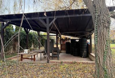 Casă individuală cu teren, de vânzare în Lipovei – Timișoara - 19