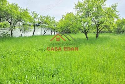 Teren intravilan in Scorteni--3999mp--55.000e - 8