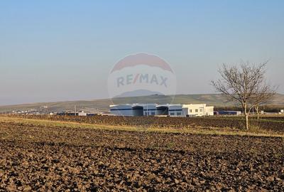 Teren agricol extravilan de 6100 mp, în Stroiești - 11