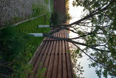 Casă cu 4 camere cu Teren 580 Mp în Plumbuita - 1