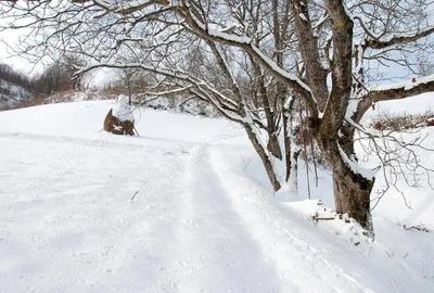 Casă cu 4 camere cu Teren 1170 Mp în Poiana Stampei - 3