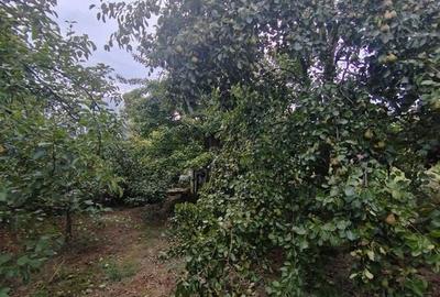 Casa - 24 ari de teren - Valea Ghinzii - 9