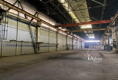 Spatiu industrial/Hala 4000 mp Pod rulant - 7