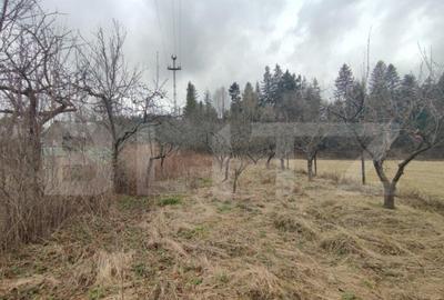 Casa individuala ,2500 mp teren, in Putna - 17