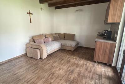 Teren de 1350 mp, în Cetate - 11