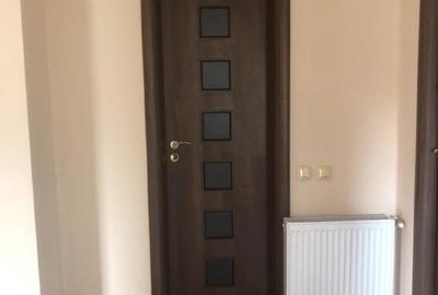 Apartament  2 camere  in vila  Domenii - 2