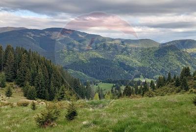 O fereastra catre cer - teren de vis in Fundata, la poalele Bucegilor - 2