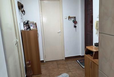 Apartament cu 2 camere decomandat în Spicului - 8