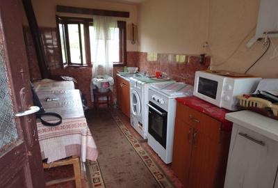 Casă cu 4 camere cu Teren 2651 Mp în Rișculița - 20