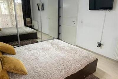 Apartament cu 2 camere decomandat, mobilat în Avantgarden - 2