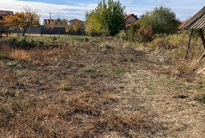 Casă de vânzare în Sânnicolau Mare drumul Cenadului - 11