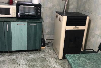 Vila in Bulbucata, Giurgiu, sat Teisori - 1