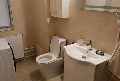 Apartament cu 2 camere semidecomandat în Dumbrăvița - 6
