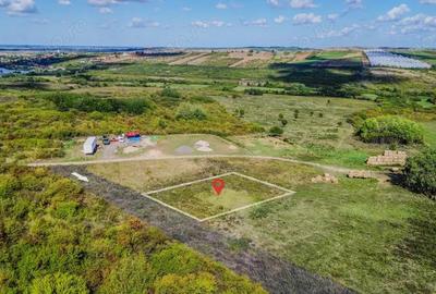 Teren intravilan de vanzare 902 mp, Paleu, Bihor | PUZ aprobat - 3