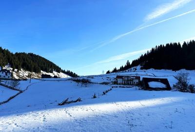 Teren intravilan 8400 mp, Fundata, zona Bran -  Moieciu - 8