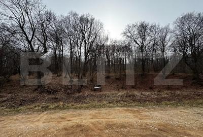 Teren intravilan de vanzare, 1872 mp, zona Valea Popii - Alba Iulia - 2
