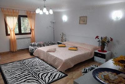 Casa de inchiriat Petre?ti Vrancea - 3