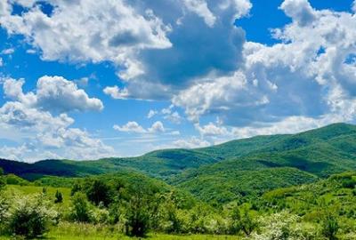 Terenuri extravilane Cozieni, jud. Buzau 70000mp - 7