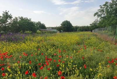 Teren de 3000 mp, în Vărăști - 10