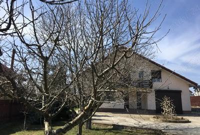 Casă în Lunca Cetățuii - 5