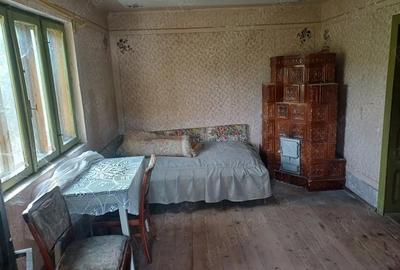 Casă cu 4 camere cu Teren 9000 Mp în Cotmeana - 1