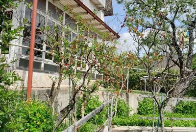 Vila la gri Cerasu Prahova - 10