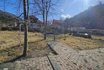 Casă individuală cu 7 camere cu Teren 1134 Mp în Tarcău - 53