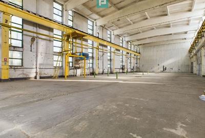 Spatiu industrial hala depozit 740 mp Drumul Taberei, Sector 6 - 3