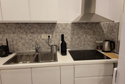 De inchiriat apartament 2 camere - Parcul Carol - 5