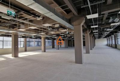 Spatiu comercial - Birouri - 1300 mp - 3000 mp - Carrefour Felicia - 5