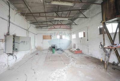 Spațiu industrial, de 800 mp, în Tilecuș - 4