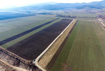 Teren agricol extravilan de 19239 mp, în Vulcan - 6